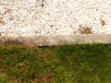 image of grave number 808886